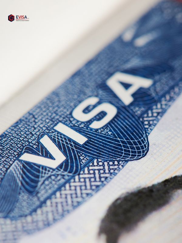 EVISA HUBS - global eVisa processing support platform (document review and compliance workflow)